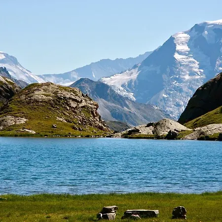 Aline Sainte-Foy-Tarentaise